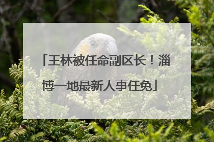 王林被任命副区长！淄博一地最新人事任免