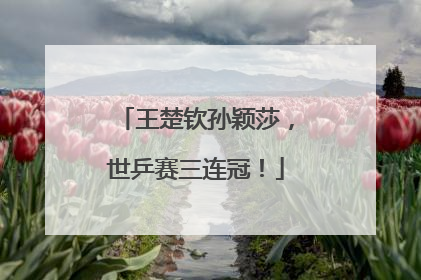 王楚钦孙颖莎，世乒赛三连冠！
