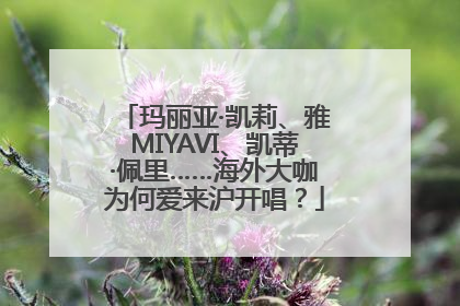 玛丽亚·凯莉、雅MIYAVI、凯蒂·佩里……海外大咖为何爱来沪开唱？