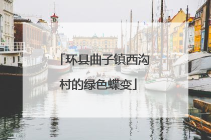 环县曲子镇西沟村的绿色蝶变