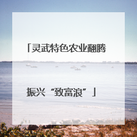 灵武特色农业翻腾振兴“致富浪”