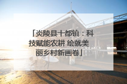 炎陵县十都镇：科技赋能农耕 绘就美丽乡村新画卷