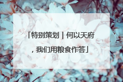 特别策划｜何以天府，我们用粮食作答