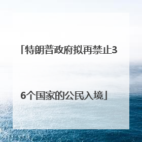 特朗普政府拟再禁止36个国家的公民入境