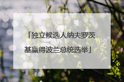 独立候选人纳夫罗茨基赢得波兰总统选举