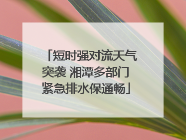 短时强对流天气突袭 湘潭多部门紧急排水保通畅