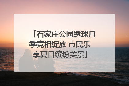 石家庄公园绣球月季竞相绽放 市民乐享夏日缤纷美景