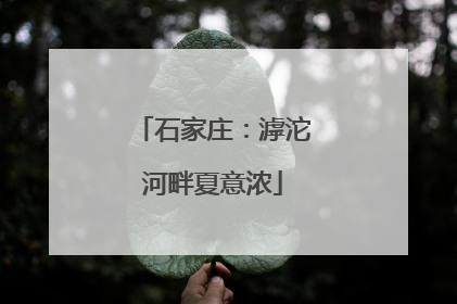 石家庄：滹沱河畔夏意浓