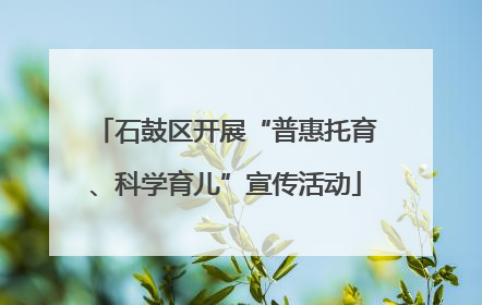 石鼓区开展“普惠托育、科学育儿”宣传活动