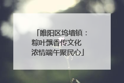 睢阳区坞墙镇：粽叶飘香传文化 浓情端午聚民心