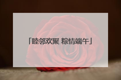 睦邻欢聚 粽情端午