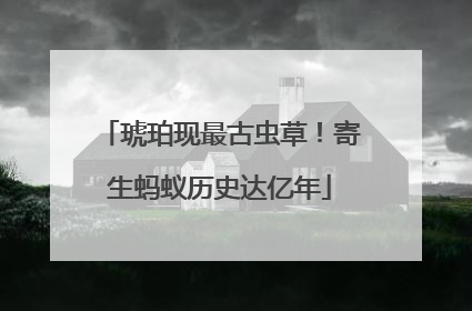 琥珀现最古虫草！寄生蚂蚁历史达亿年
