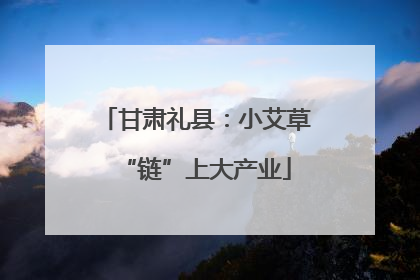 甘肃礼县：小艾草“链”上大产业