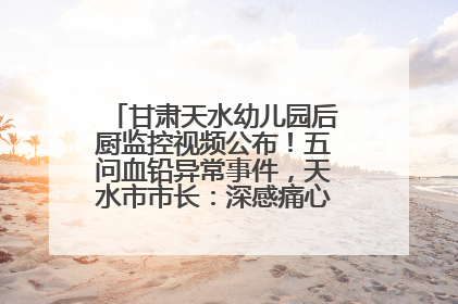 甘肃天水幼儿园后厨监控视频公布！五问血铅异常事件，天水市市长：深感痛心、十分自责