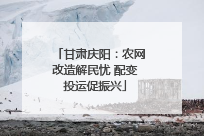 甘肃庆阳：农网改造解民忧 配变投运促振兴