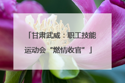 甘肃武威：职工技能运动会“燃情收官”