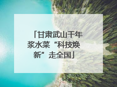 甘肃武山千年浆水菜“科技焕新”走全国