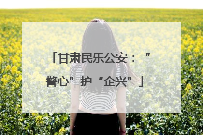 甘肃民乐公安：“警心”护“企兴”