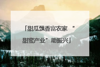 甜瓜飘香富农家 “甜蜜产业”助振兴