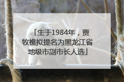 生于1984年，贾牧樵拟提名为黑龙江省地级市副市长人选
