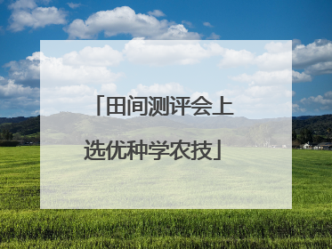 田间测评会上选优种学农技
