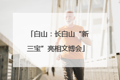 白山：长白山“新三宝”亮相文博会