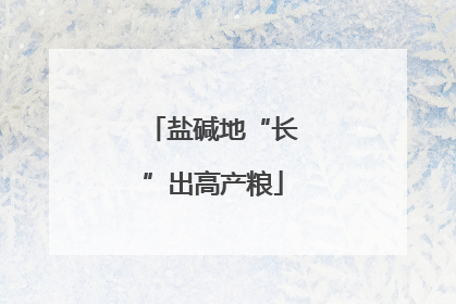 盐碱地“长”出高产粮
