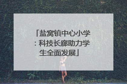 盐窝镇中心小学：科技长廊助力学生全面发展
