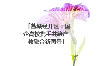 盐城经开区：国企高校携手共绘产教融合新图景