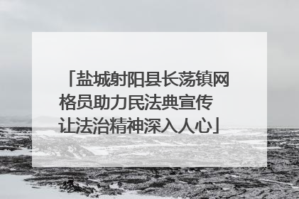 盐城射阳县长荡镇网格员助力民法典宣传 让法治精神深入人心