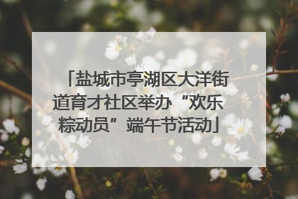 盐城市亭湖区大洋街道育才社区举办“欢乐粽动员”端午节活动