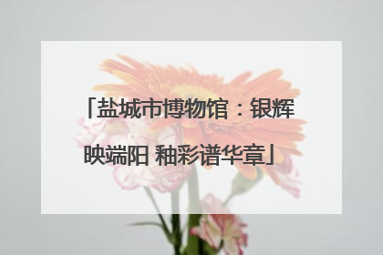盐城市博物馆：银辉映端阳 釉彩谱华章