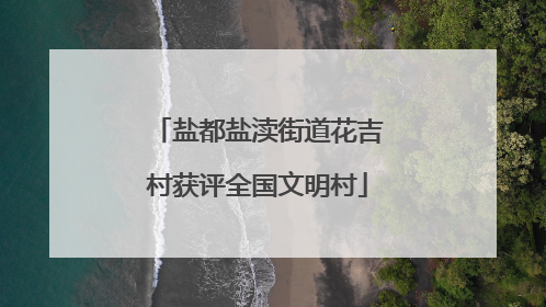 盐都盐渎街道花吉村获评全国文明村