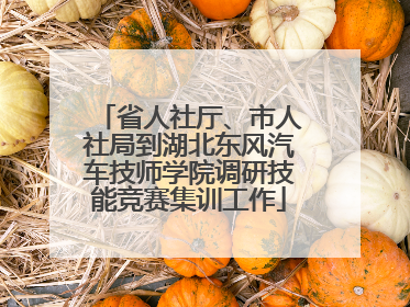 省人社厅、市人社局到湖北东风汽车技师学院调研技能竞赛集训工作