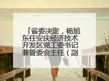 省委决定，杨旭东任安庆经济技术开发区党工委书记兼管委会主任（副厅级）