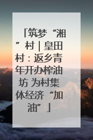 筑梦“湘”村｜皇田村：返乡青年开办榨油坊 为村集体经济“加油”