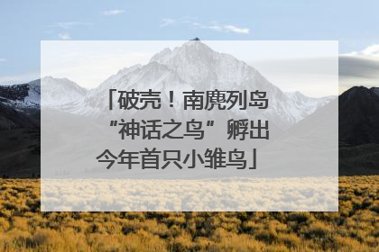 破壳！南麂列岛“神话之鸟”孵出今年首只小雏鸟