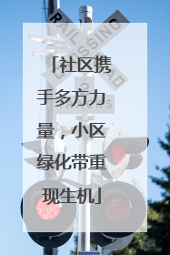 社区携手多方力量，小区绿化带重现生机