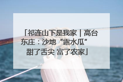 祁连山下是我家｜高台东庄：沙地“露水瓜” 甜了舌尖 富了农家