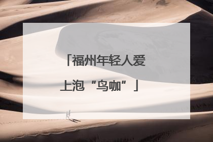 福州年轻人爱上泡“鸟咖”