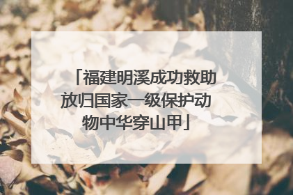 福建明溪成功救助放归国家一级保护动物中华穿山甲