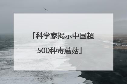 科学家揭示中国超500种毒蘑菇