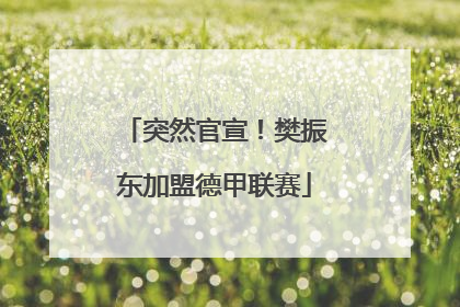突然官宣！樊振东加盟德甲联赛