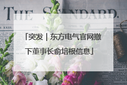 突发｜东方电气官网撤下董事长俞培根信息