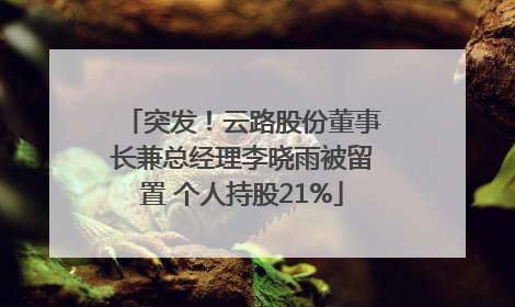 突发！云路股份董事长兼总经理李晓雨被留置 个人持股21%