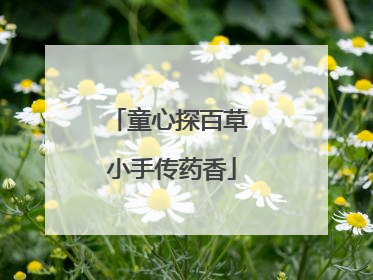 童心探百草 小手传药香