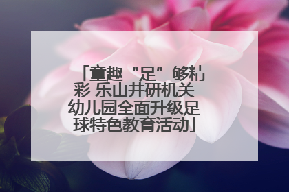 童趣“足”够精彩 乐山井研机关幼儿园全面升级足球特色教育活动