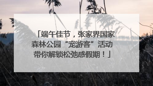 端午佳节，张家界国家森林公园“宠游客”活动带你解锁松弛感假期！