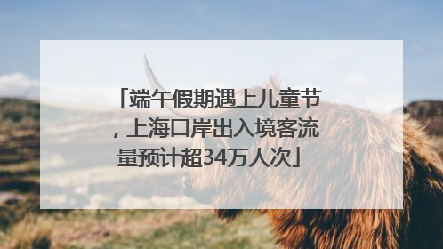 端午假期遇上儿童节，上海口岸出入境客流量预计超34万人次