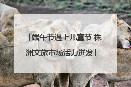 端午节遇上儿童节 株洲文旅市场活力迸发